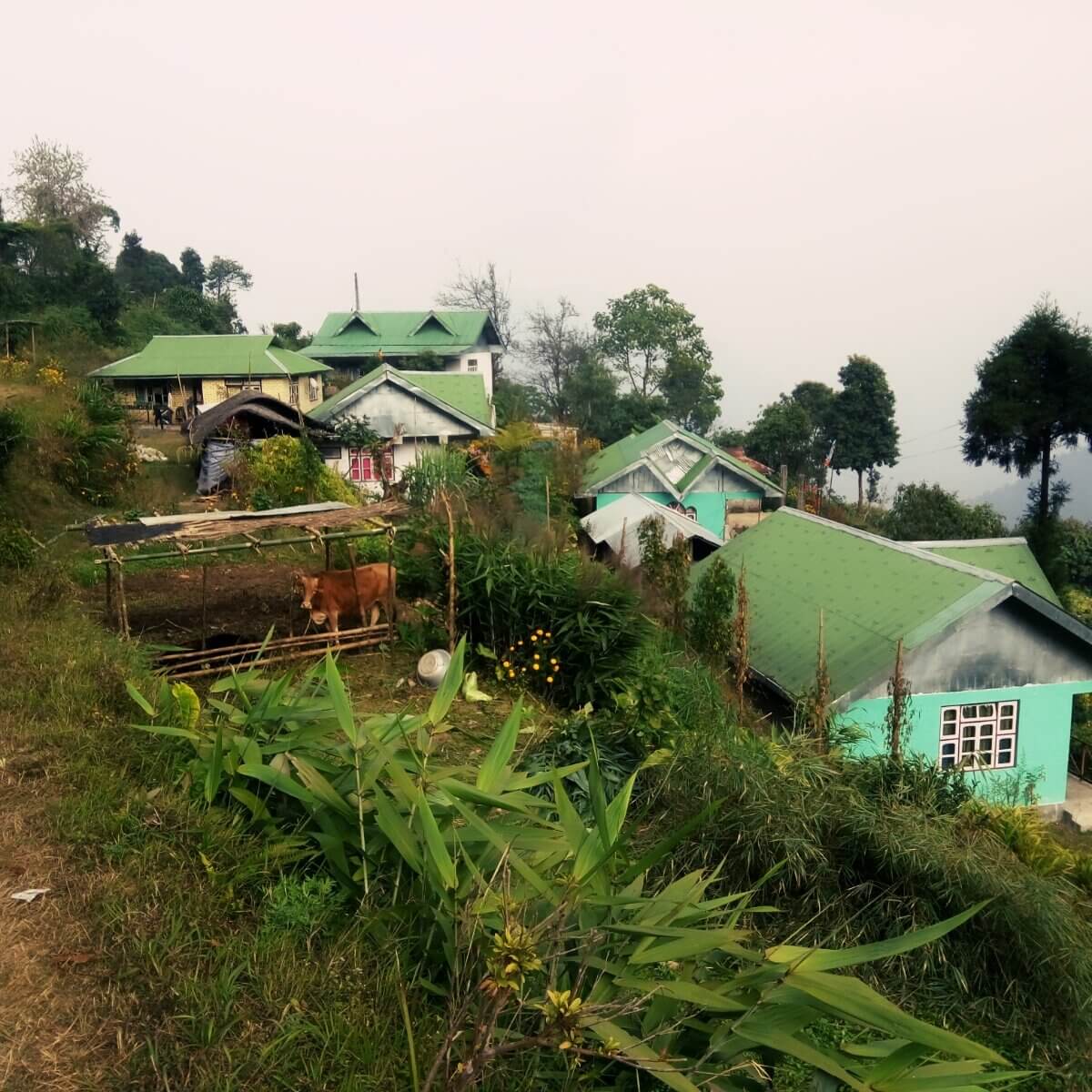 Heaven Valley Homestay